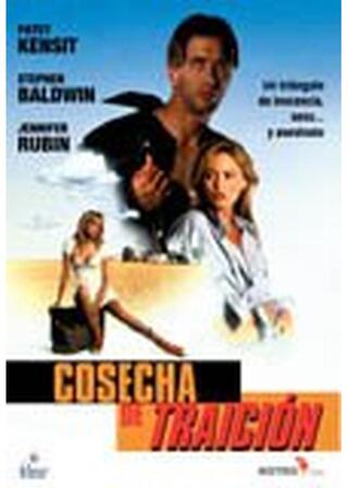 ブロンドの標的のポスター