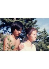 パーマネント・ブルー 真夏の恋のポスター