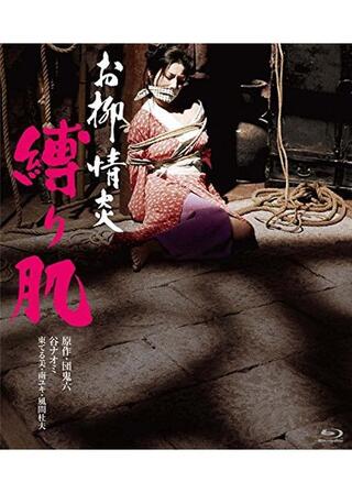 お柳情炎 縛り肌のポスター