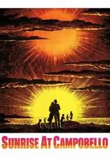 ルーズベルト物語のポスター