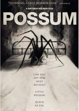 Possum（原題）のポスター