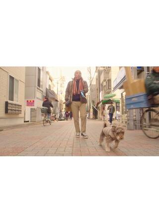 犬が伝えたかったことのポスター