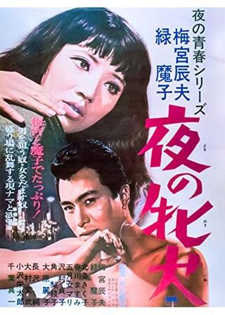 夜の牝犬のポスター