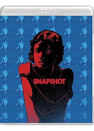 ヌードモデル危機一髪のポスター