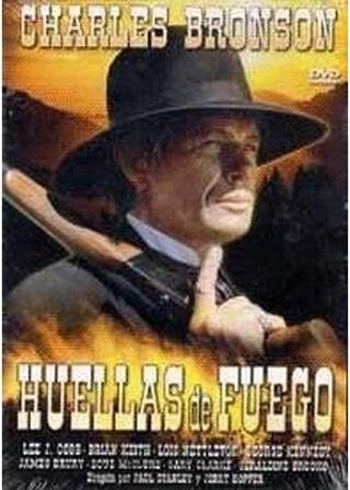 大砂塵の男のポスター