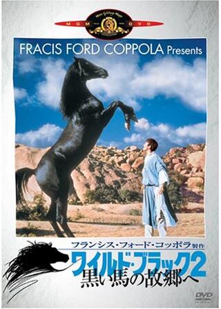 ワイルド・ブラック2／黒い馬の故郷へのポスター
