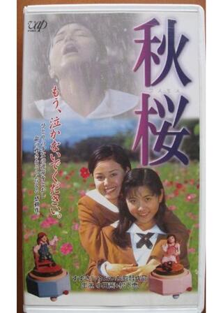 秋桜 コスモスのポスター