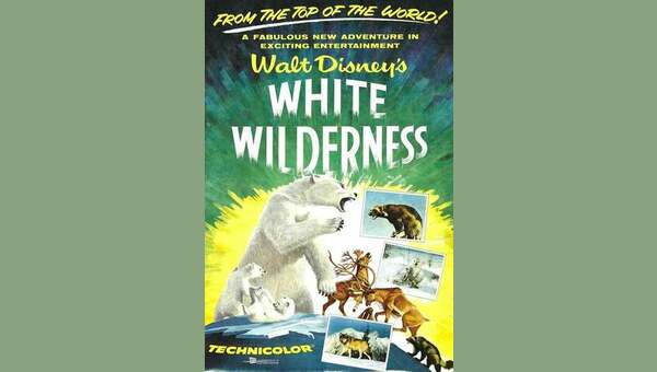 白い荒野 解説・レビュー・評価 映画ポップコーン