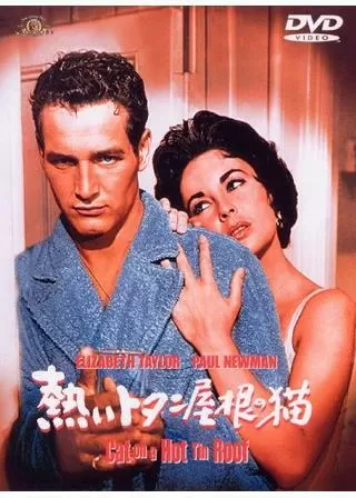 熱いトタン屋根の猫のポスター