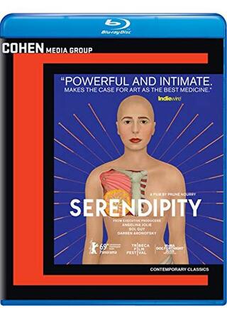 Serendipity（原題）のポスター