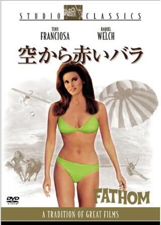 空から赤いバラのポスター