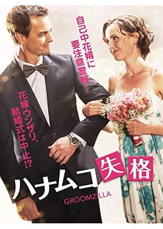 ハナムコ失格のポスター