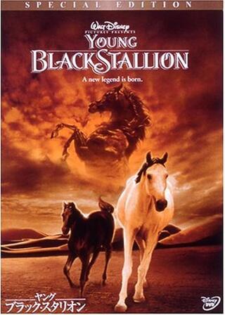 ヤング・ブラック・スタリオンのポスター