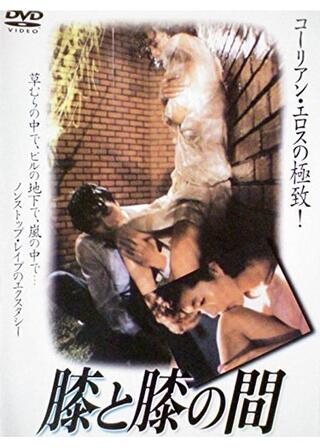 膝と膝の間のポスター