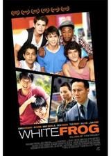 White Frog(原題)のポスター