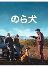 のら犬のポスター