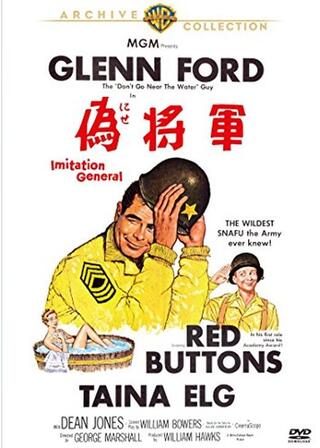 偽将軍のポスター