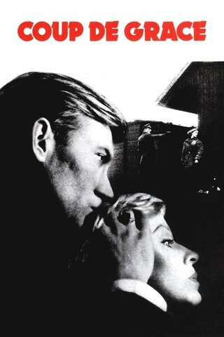 とどめの一発のポスター