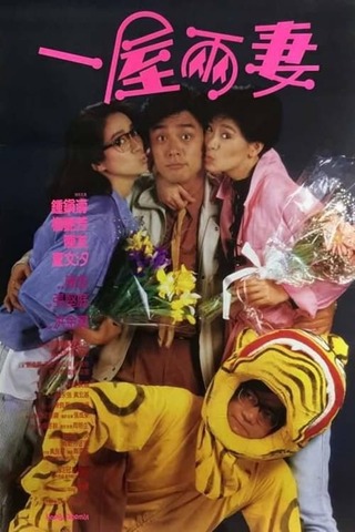 夫婦前妻！のポスター