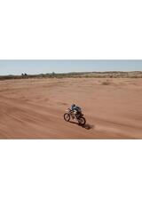 フィンク 悠久の大地を駆けるのポスター