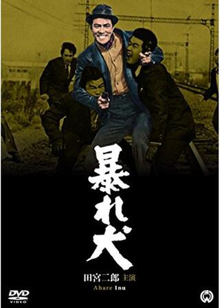 暴れ犬のポスター