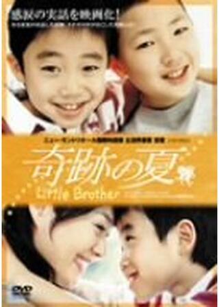 奇跡の夏のポスター