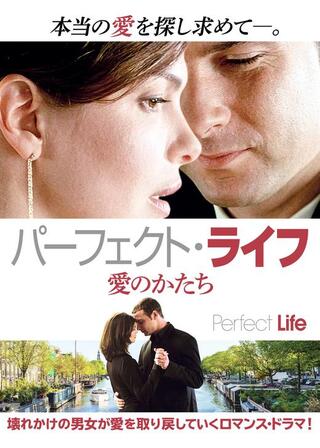 パーフェクト・ライフ 愛のかたちのポスター