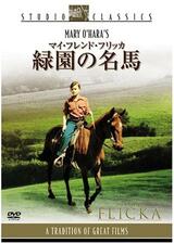 マイ・フレンド・フリッカ 緑園の名馬のポスター