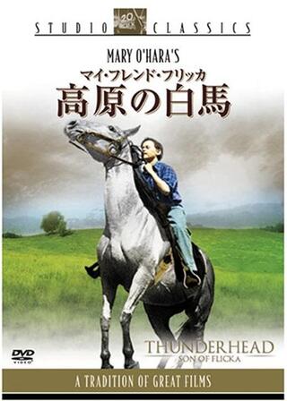 高原の白馬のポスター