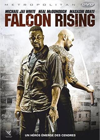 ファルコン・ライジングのポスター