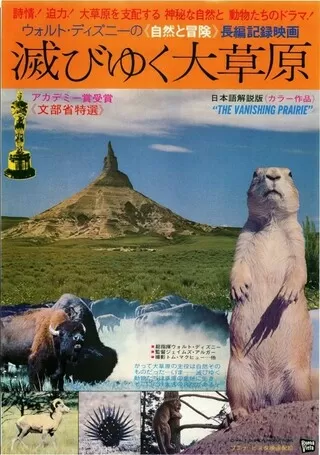 滅びゆく大草原のポスター