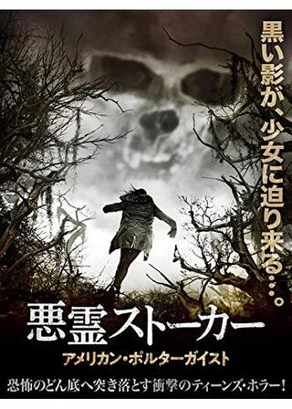 悪霊ストーカー アメリカン・ポルターガイスト／アメリカン・ポルターガイスト2のポスター