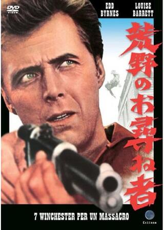 荒野のお尋ね者のポスター