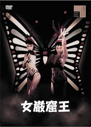 女巌窟王のポスター