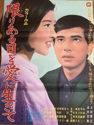限りある日を愛に生きてのポスター