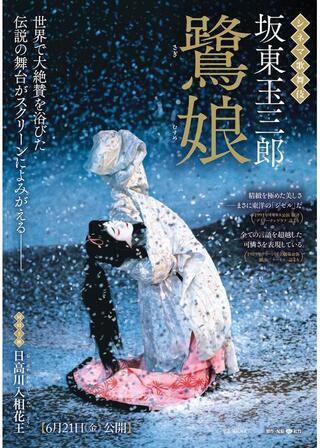 シネマ歌舞伎 鷺娘/日高川入相花王のポスター