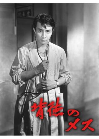 背徳のメスのポスター