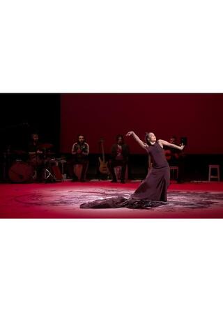 ロシオ・モリーナ LIVE－カイーダ・デル・シエロのポスター