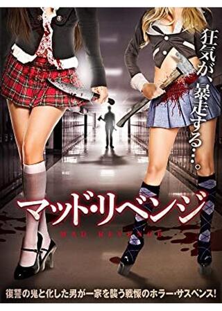 マッド・リベンジのポスター
