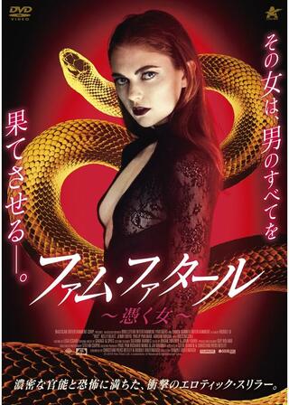 ファム・ファタール～憑く女～のポスター