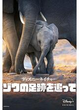 ディズニーネイチャーゾウの足跡を追ってのポスター