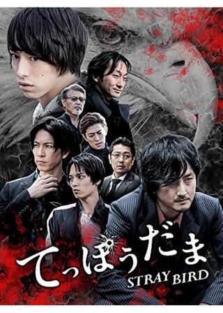 てっぽうだま STRAY BIRDのポスター