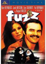 複数犯罪のポスター