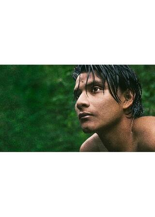 テリトリー アマゾンの攻防のポスター