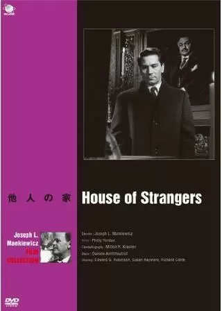 他人の家のポスター