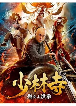 少林寺 燃えよ洪拳のポスター