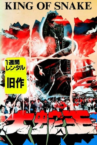 大蛇大戦のポスター