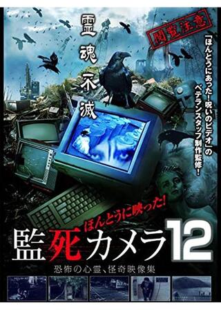 ほんとうに映った！監死カメラ12のポスター