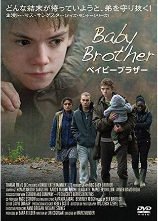ベイビーブラザーのポスター