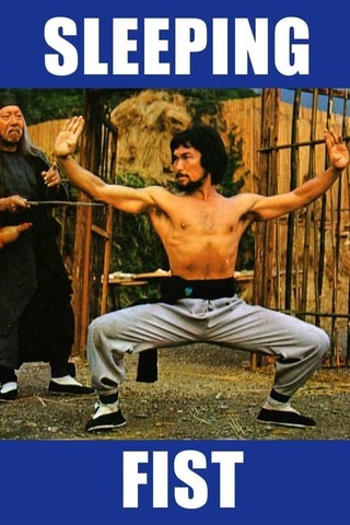 秘法・睡拳のポスター